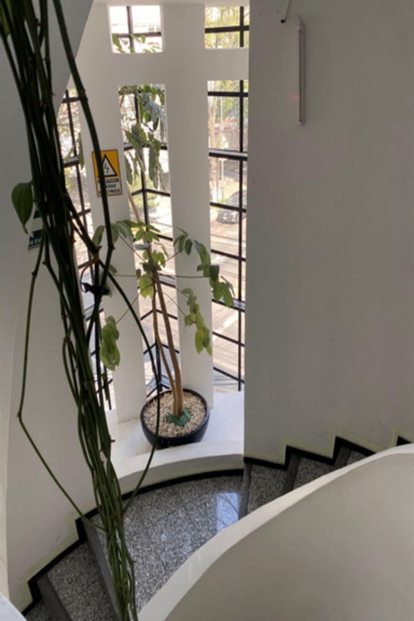 Flowsuites Polanco Mexico Extérieur photo